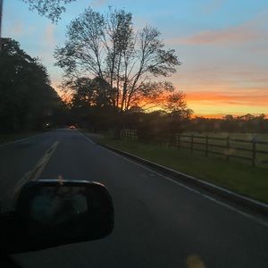 Meet your Posher, Jaye